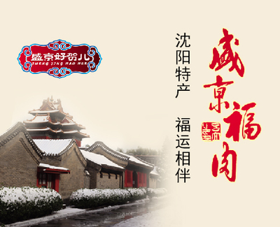 沈陽曬悅軟件 一站式網(wǎng)站建設(shè)與移動應(yīng)用開發(fā)解決方案
