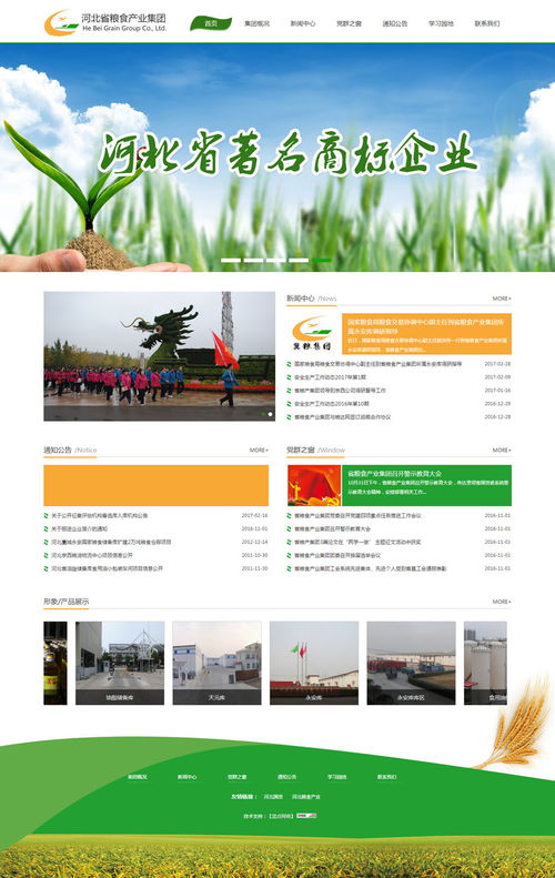 河北省糧食產(chǎn)業(yè)集團與政府、協(xié)會攜手推動石家莊網(wǎng)站建設(shè)與開發(fā)